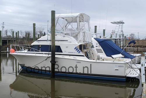 Bertram 33 Sportfisherman specificaties
